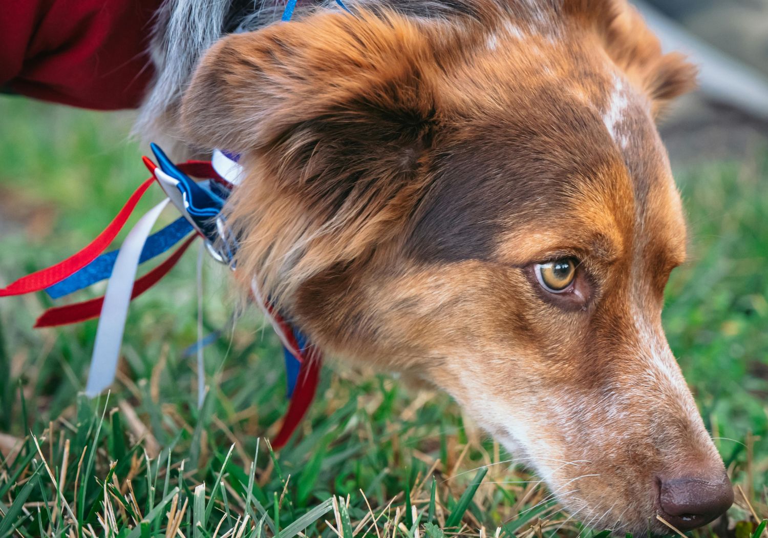 Explosives Detection
